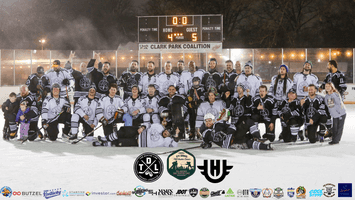 TDL Hockey: The Duster Line logo