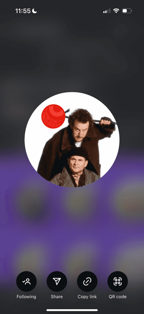 The Wet Bandits team image