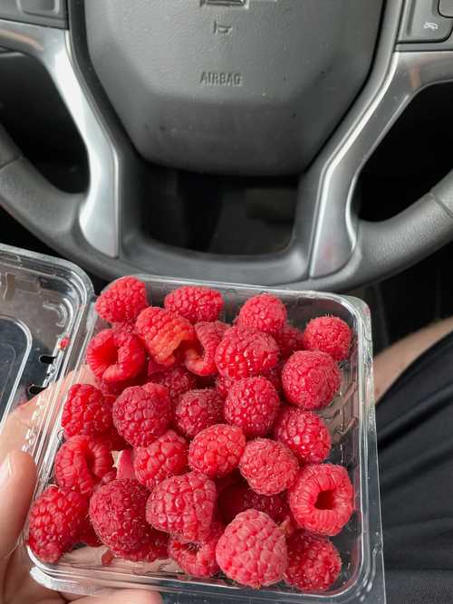 Raspberries team image