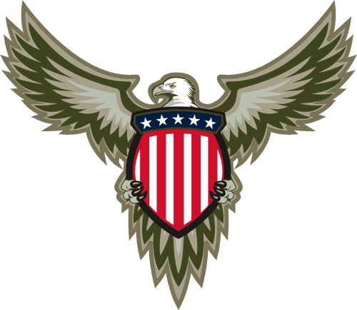 Americans team image