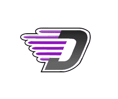 Detroit Hooligans logo